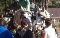Harvest Fest 2011 1