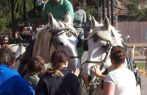 Harvest Fest 2011 at Oak Island Park in Wausau