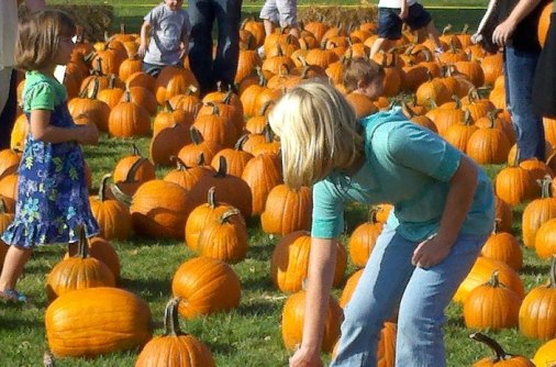 Harvest Fest 2011 at Oak Island Park in Wausau