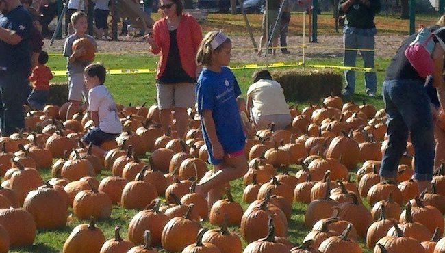 Harvest Fest 2011 at Oak Island Park in Wausau
