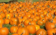 Harvest Fest 2011 22