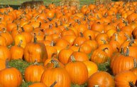 Harvest Fest 2011 22