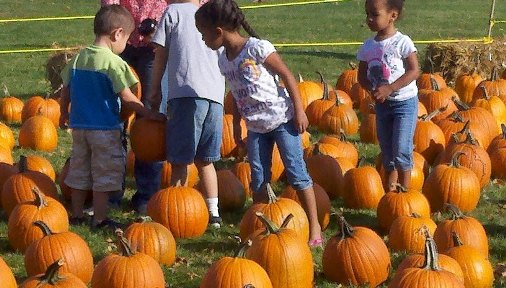 Harvest Fest 2011 at Oak Island Park in Wausau
