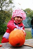 Pumpkin Carving Pumpkin Carving
