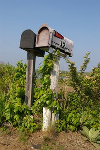 Mail Box Mail Box