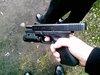 Gun