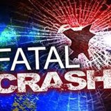 Fatal crash graphic (properly sized)