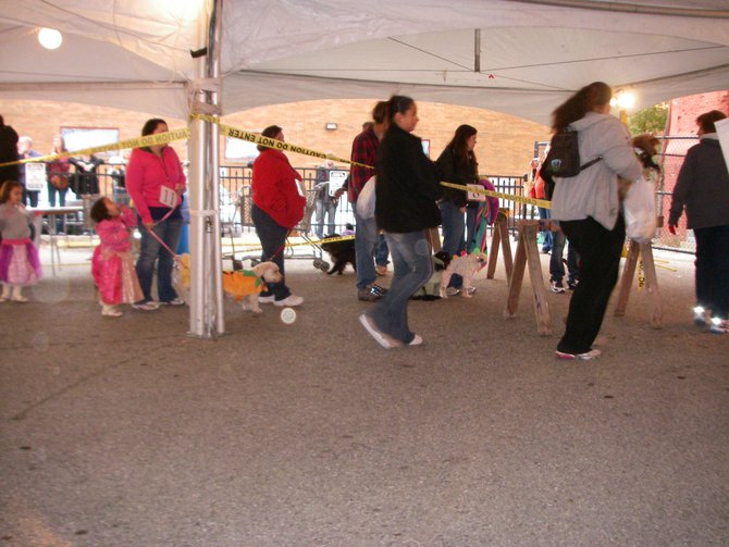 23rd Annual Costume Contest for Dogs