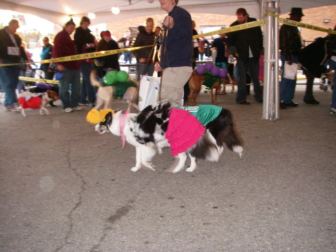 23rd Annual Costume Contest for Dogs