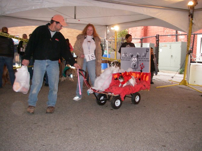 23rd Annual Costume Contest for Dogs