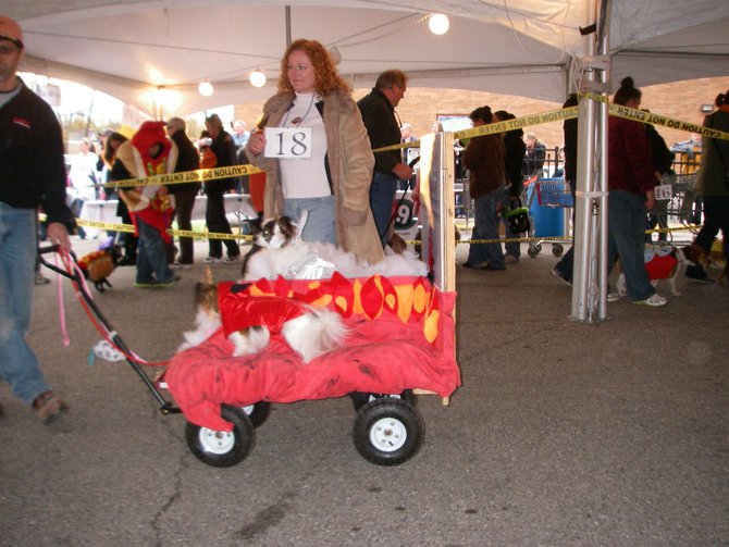 23rd Annual Costume Contest for Dogs
