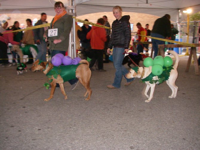 23rd Annual Costume Contest for Dogs