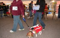 23rd Annual Costume Contest for Dogs: Cover Image