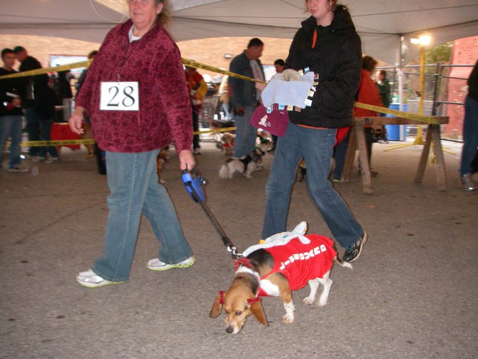 23rd Annual Costume Contest for Dogs