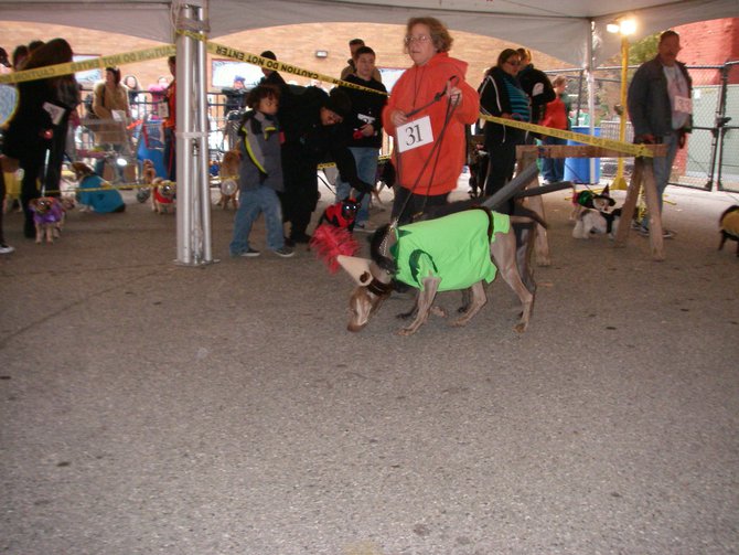 23rd Annual Costume Contest for Dogs 10/28/2011