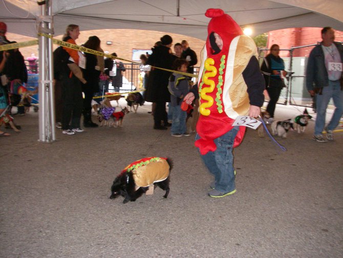 23rd Annual Costume Contest for Dogs 10/28/2011