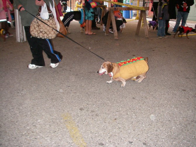 23rd Annual Costume Contest for Dogs 10/28/2011