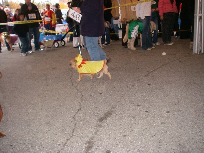 23rd Annual Costume Contest for Dogs, October 28, 2011