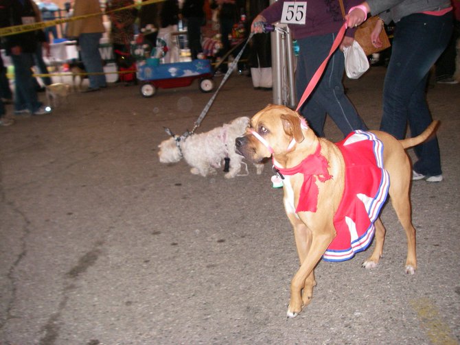 23rd Annual Costume Contest for Dogs, October 28, 2011