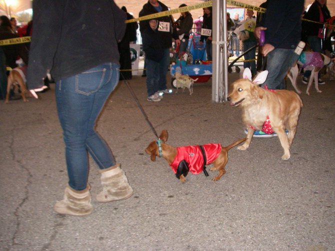 23rd Annual Costume Contest for Dogs, October 28, 2011