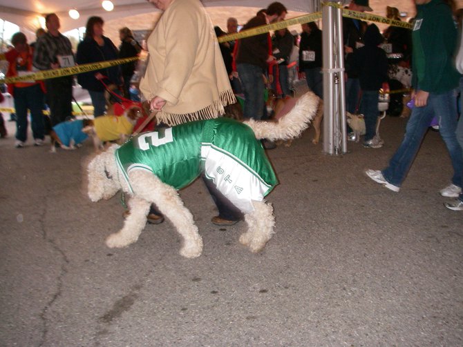 23rd Annual Costume Contest for Dogs, October 28, 2011