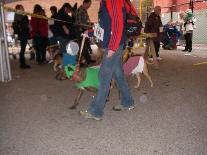 23rd Annual Costume Contest for Dogs, October 28, 2011