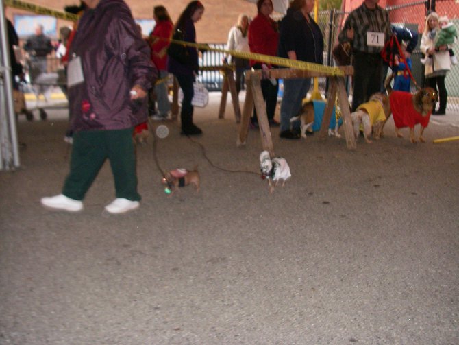 23rd Annual Costume Contest for Dogs, October 28, 2011
