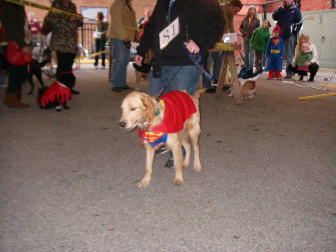 23rd Annual Costume Contest for Dogs, October 28, 2011
