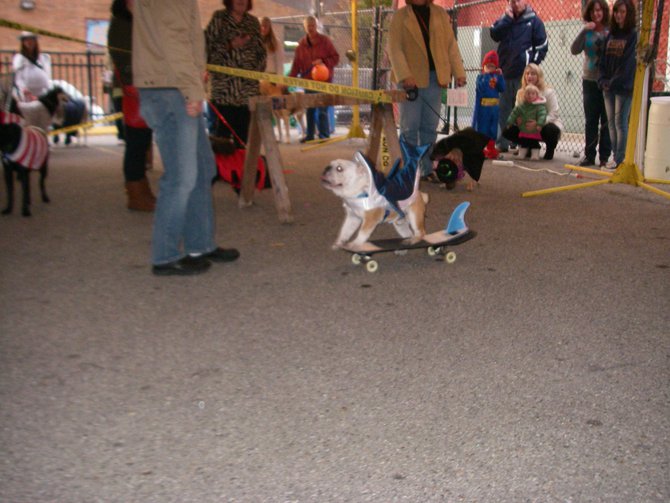 23rd Annual Costume Contest for Dogs, October 28, 2011