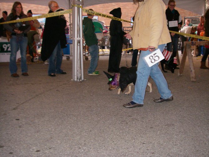 23rd Annual Costume Contest for Dogs, October 28, 2011