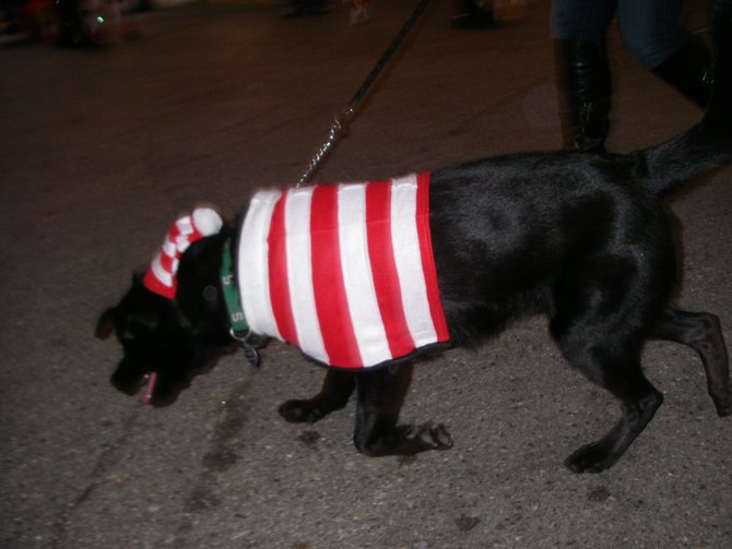 23rd Annual Costume Contest for Dogs, October 28, 2011