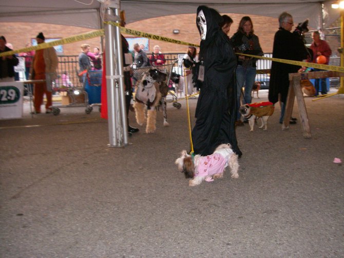 23rd Annual Costume Contest for Dogs, October 28, 2011