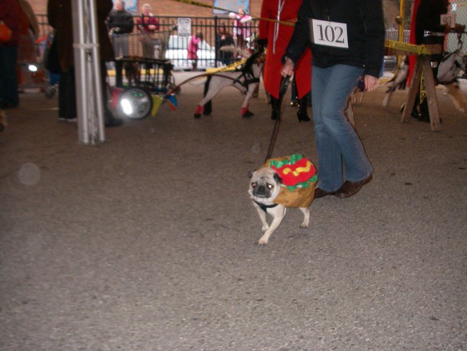 23rd Annual Costume Contest for Dogs, October 28, 2011