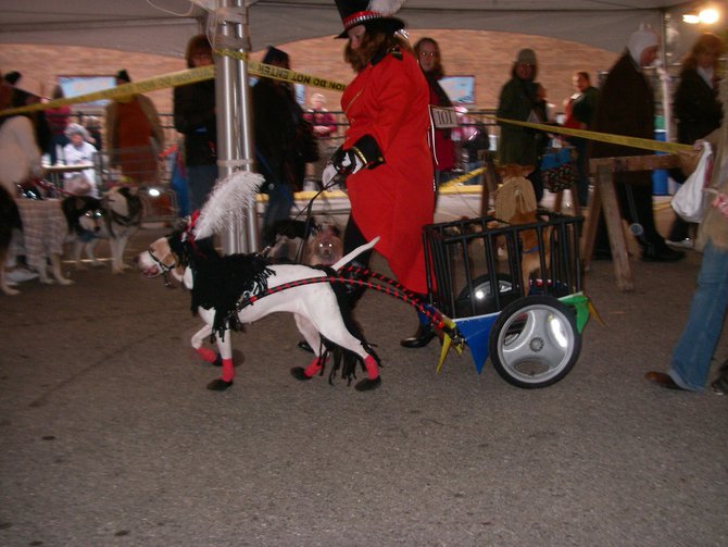 23rd Annual Costume Contest for Dogs, October 28, 2011