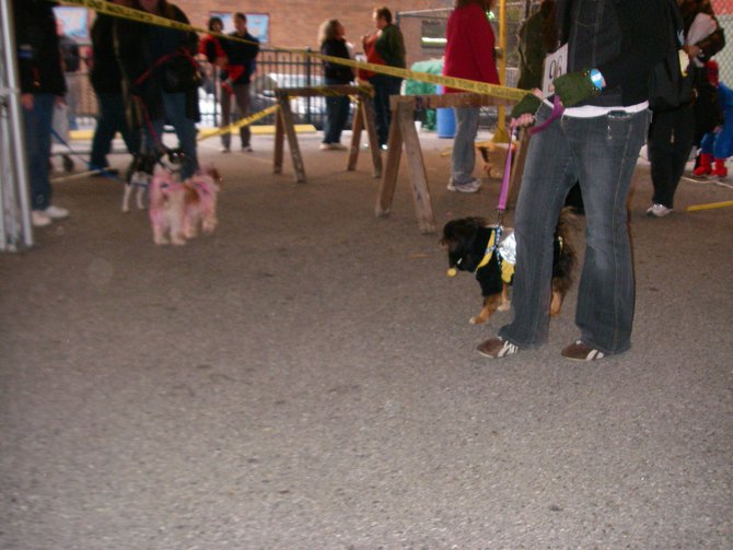 23rd Annual Costume Contest for Dogs, October 28, 2011