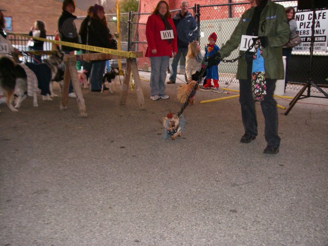 23rd Annual Costume Contest for Dogs, October 28, 2011