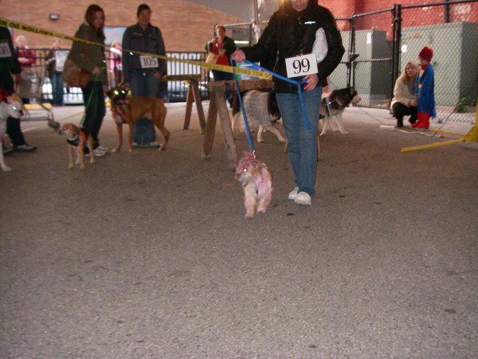 23rd Annual Costume Contest for Dogs, October 28, 2011