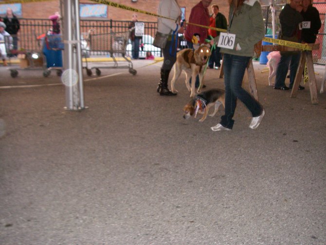 23rd Annual Costume Contest for Dogs, October 28, 2011