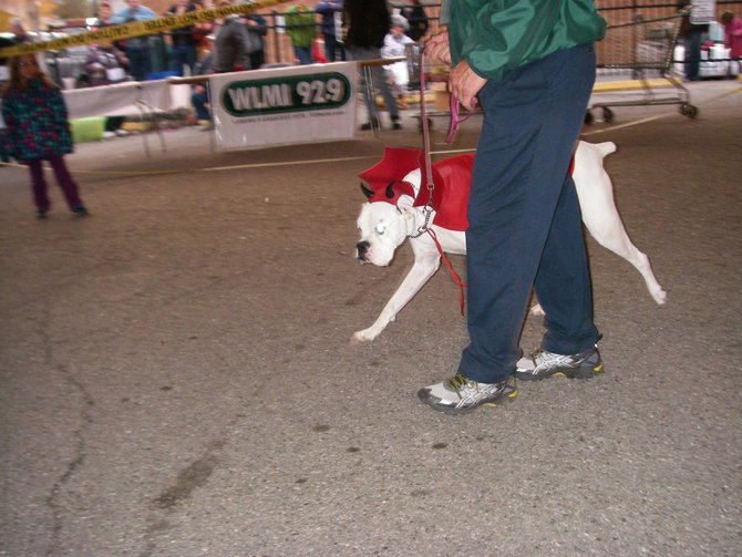 23rd Annual Costume Contest for Dogs, October 28, 2011