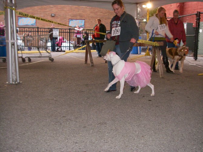 23rd Annual Costume Contest for Dogs, October 28, 2011