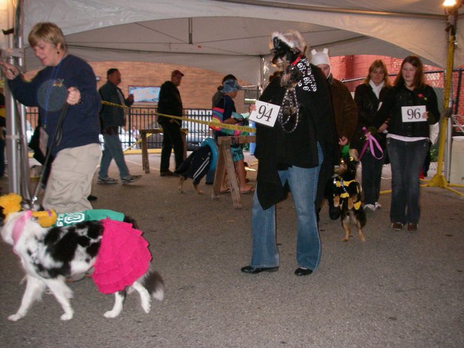 23rd Annual Costume Contest for Dogs, October 28, 2011