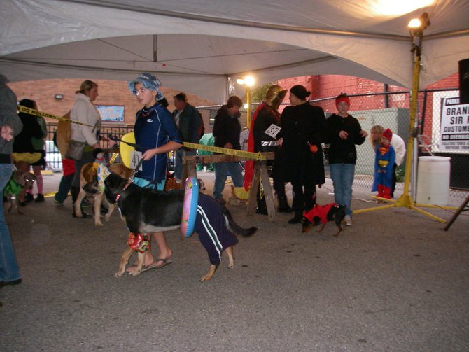 23rd Annual Costume Contest for Dogs, October 28, 2011