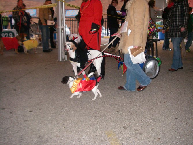 23rd Annual Costume Contest for Dogs, October 28, 2011