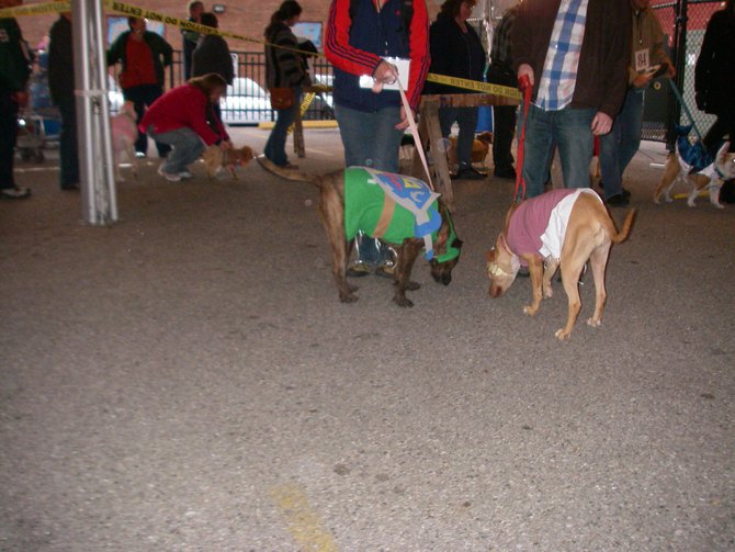 23rd Annual Costume Contest for Dogs, October 28, 2011