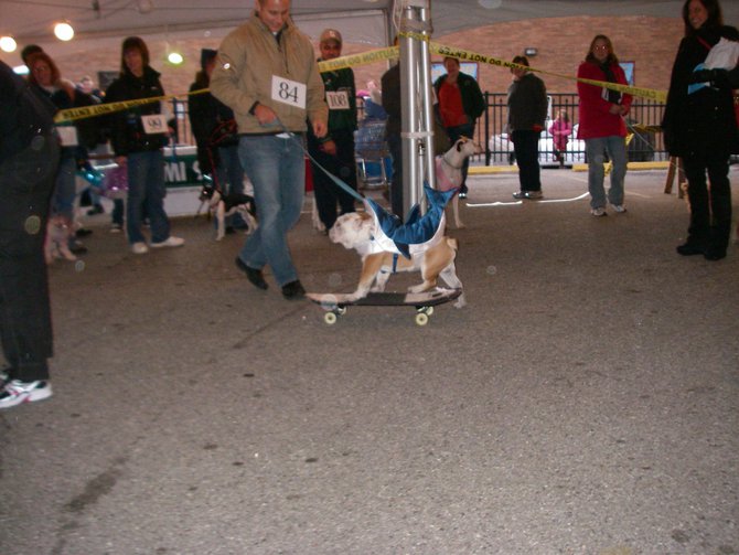 23rd Annual Costume Contest for Dogs, October 28, 2011