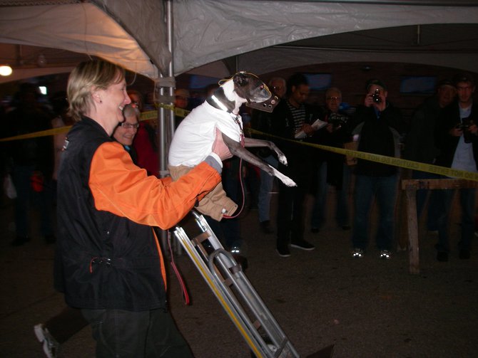 23rd Annual Costume Contest for Dogs, October 28, 2011