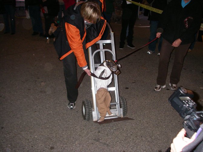23rd Annual Costume Contest for Dogs, October 28, 2011