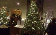 Festival of Trees 2011 19