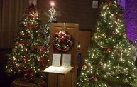 Festival of Trees 2011 17