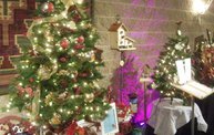 Festival of Trees 2011 15